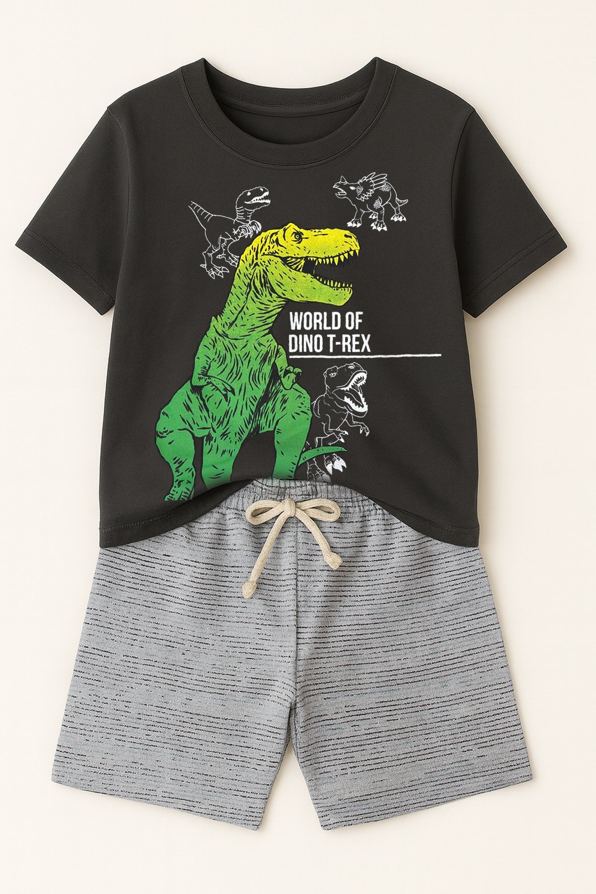 Conjunto Infantil Masculino Dinossauro Chumbo - Babei no Look